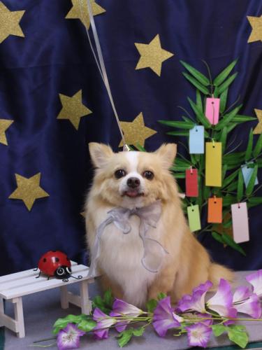 20230705マロ太くん